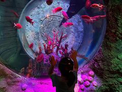 -沈阳海洋探索中心