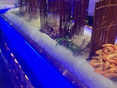 -九月海·海鲜自助(世纪东方店)