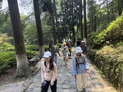 -莫干山风景区
