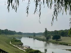 -洨河生态公园