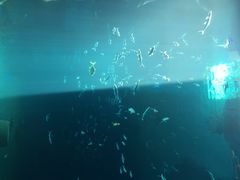 iphone_upload_pic-北戴河圣蓝海洋公园