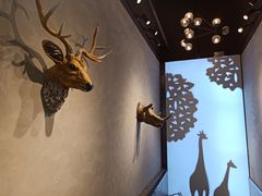 -ZOO COFFEE动物园咖啡(望京锐创店)