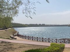-丁香湖公园