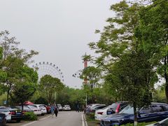 -洋湖国家湿地公园