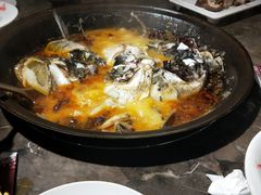 -肥鱼屯活鱼锅(惠工街店)