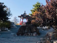 -大兴滨河森林公园