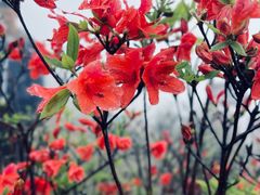 -广东天露山旅游度假区