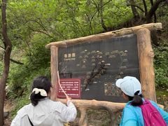 -王顺山国家森林公园