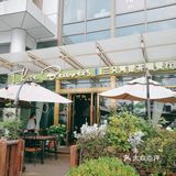 网剧热门取景餐厅打卡[加油]