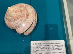 -青岛贝壳博物馆