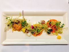 -蝶舍·MAISON PAPILLON