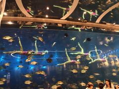 -瑞德姆美人鱼海底演艺主题餐厅(亚龙湾店)