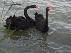-天津东丽湖风景区