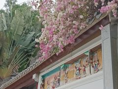 -深圳国际园林花卉博览园