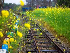 -武汉紫薇都市田园