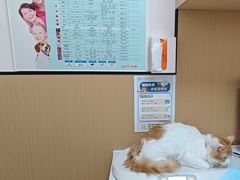 -瑞派康怡24h宠物医院·犬猫医疗中心·微创绝育(瑞景分院)