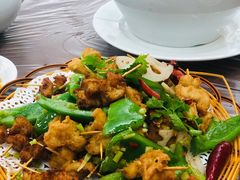 竹签鸡肉-莲华素食府