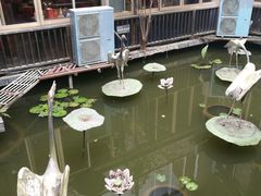 -乡村酒家·湖景客家菜(观澜店)