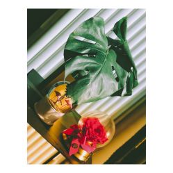 -Priscilla皮肤管理中心