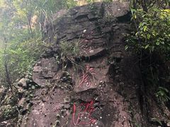 -溪口-滕头旅游景区