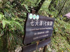 -燕子河大峡谷天坑仙境