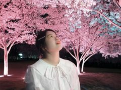 -西北湖绿化广场