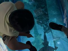 -暹罗海洋世界