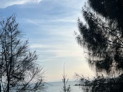 -西澳岛