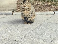 -狼山风景名胜区