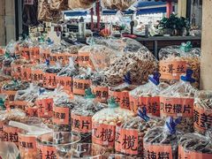 -大湾区中央湿地公园-十九涌