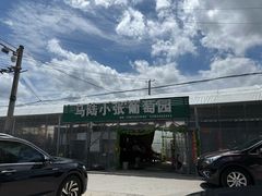 -马陆小张葡萄园农家乐