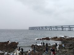 -星海湾跨海大桥