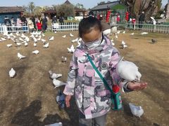 -南通洲际绿博园