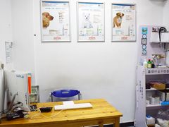 -顺强宠物诊所·狂犬免疫·夜诊·骨科(嘉定店)