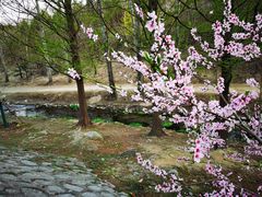 -白水寺森林公园