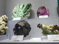 -湖南省地质博物馆