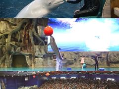 -威海华夏城景区