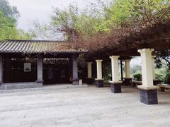 -清湖文化公园