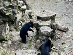 -杭州动物园