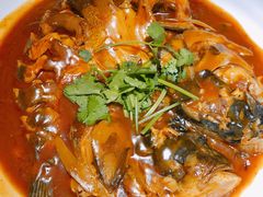 家炖胖头鱼-渔掌门(铁东店)