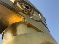 -大金鹰园