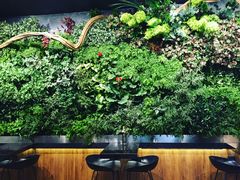 -Seesaw Coffee(环贸iapm店)