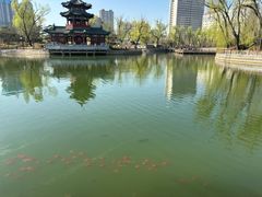 -迎泽公园
