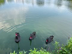 -南通濠河风景名胜区