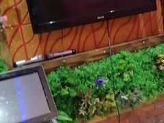 -9527星耀烧烤音乐酒馆