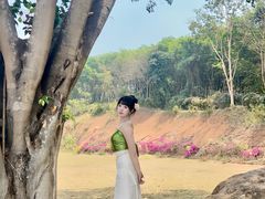 -西双版纳勐泐文化旅游区