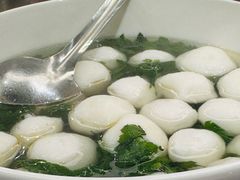 -丁老爷子苏香圆