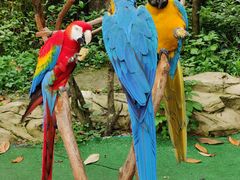 -杭州野生动物世界