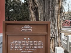 -北京市劳动人民文化宫(太庙)