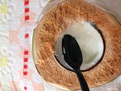 -志龙皇冠吃货椰子铺